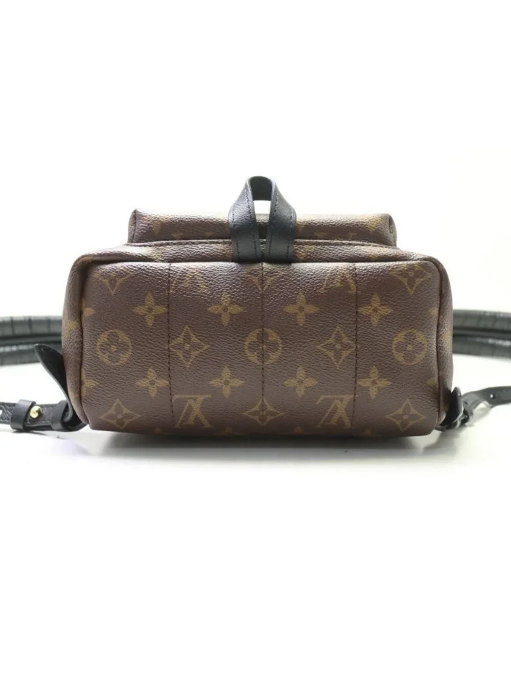 Louis Vuitton Monogram Palm Springs PM Backpack